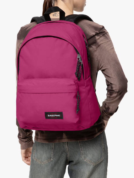 2-compartment Backpack With 16