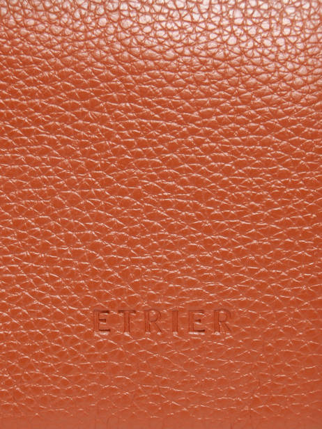 Sac à Dos Business Flandres 2 Compartiments Cuir Etrier Orange flandres EFLA8272 vue secondaire 6