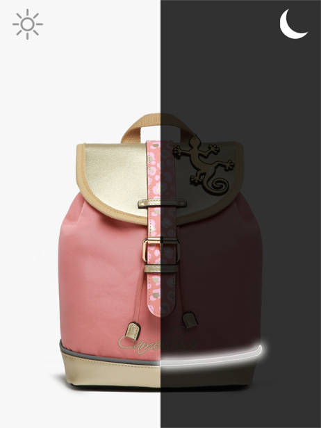 Sac à Dos 1 Compartiment Cameleon Rose vintage fantasy PBVGSD25 vue secondaire 7